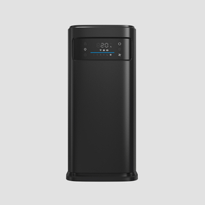 HEPA Air Purifier na may UV Sterilization & Anion Function - AP301B