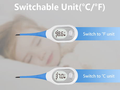 Switchable thermometer.jpg